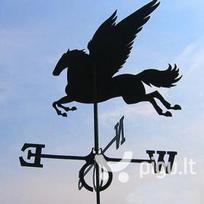 Vėjarodė Pegasas