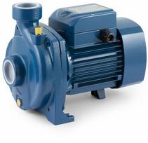 Siurblys su atviro tipo darbo ratu Pedrollo NGAm 1A 220V