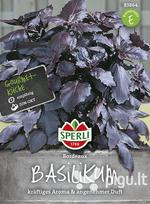 Bazilikai kvapieji Bordeaux