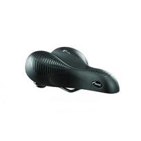 Balnelis Selle Royal Avenue, 258x183mm