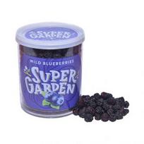 SUPERGARDEN šaltyje džiovintos mėlynės, 37 g