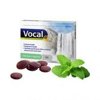  VOCAL su hialuronu, mėtų skonio, 24 Pastilės