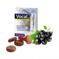  VOCAL, juodųjų serbentų skonio, 24 Kietosios kapsulės