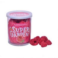  SUPERGARDEN šaltyje džiovintos avietės, 25 g