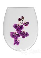 Cedo tualeto dangtis su lėtu nusileidimu Carolina Beach Orchid SC Eco