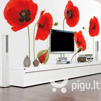 Fototapetas - Red poppies, summertime reminiscence