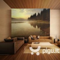 Fototapetas - Forest and lake
