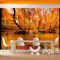 Fototapetas - Autumn bridge
