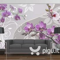 Fototapetas - Flight of purple orchids