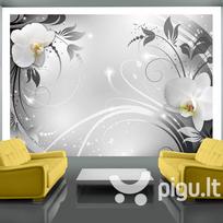 Fototapetas - Orchids on silver