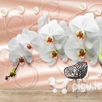 Fototapetai - Orchidėjos pasteliniame fone