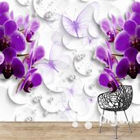 Fototapetai - Orchidėjos brangakmeniai