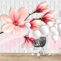 Fototapetai - Magnolijos grožis