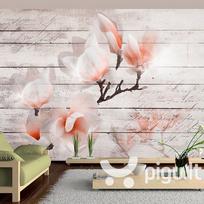 Fototapetai - Magnolijos subtilumas