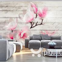 Fototapetai - Magnolijų švelnumas