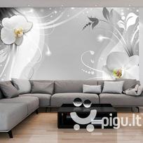 Fototapetai - Žavi orchidėja