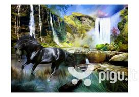 Fototapetai - Žirgas krioklio fone