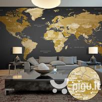 Fototapetas XXL - World Map: Modern Geography II