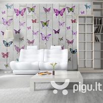 Fototapetas - Butterflies and Concrete