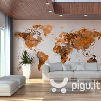Fototapetas - World in brown shades