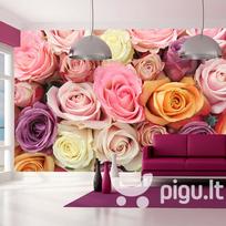 Fototapetas - Pastel roses