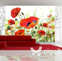 Fototapetas - Country poppies
