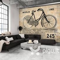 Fototapetas - Old School Bicycle