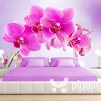 Fototapetas - Thoughtfulness