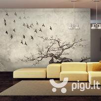 Fototapetas - Flock of birds