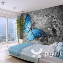 Fototapetas - Blue butterfly