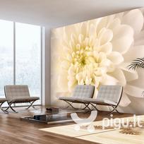 Fototapetas - White dahlia