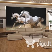 Fototapetas - Galloping horses on the sand