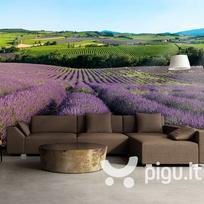 Fototapetas - Lavender fields