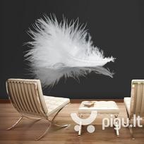Fototapetas - White feather