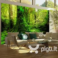 Fototapetas - Jungle