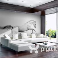 Fototapetas - White gallop