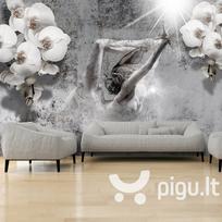 Fototapetas - Arrangement with orchid