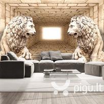 Fototapetas - Mystery of lions