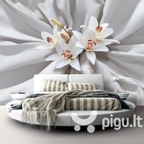 Fototapetas - Sensual Lilies