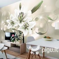 Fototapetas - Lily - Flower of Masters