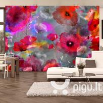 Fototapetas - Painted Poppies