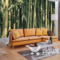 Fototapetas - Bamboo Exotic