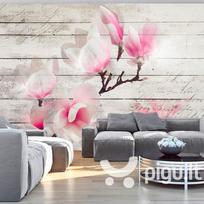 Fototapetas - Gentleness of the Magnolia
