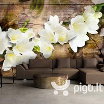 Fototapetas - Freesia on Wood