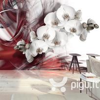Fototapetas - Orchid in red