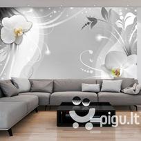 Fototapetas - Charming orchid