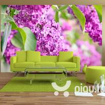 Fototapetas - Lilac flowers