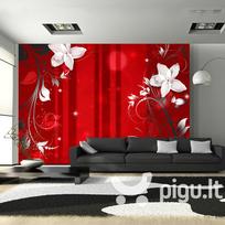 Fototapetas - Flowering scarlet
