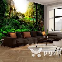Fototapetas - In tropics