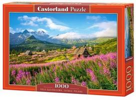 Dėlionė Castorland Hala Gasienicowa Tatras Poland, 1000 vnt.